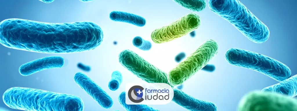 Probioticos